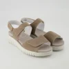 Clara Sandalen in Beige