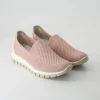 DEH 76586 Slipper in Rosa