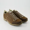 Low Fg Evo GTX Wanderschuhe in Braun