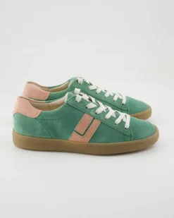 5464 Schnürschuhe in Grün
