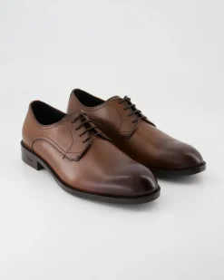 Tayil_Derb Schnürschuhe in Braun