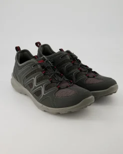 Terracruise LT M Wanderschuhe in Grau