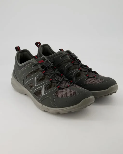Terracruise LT M Wanderschuhe in Grau