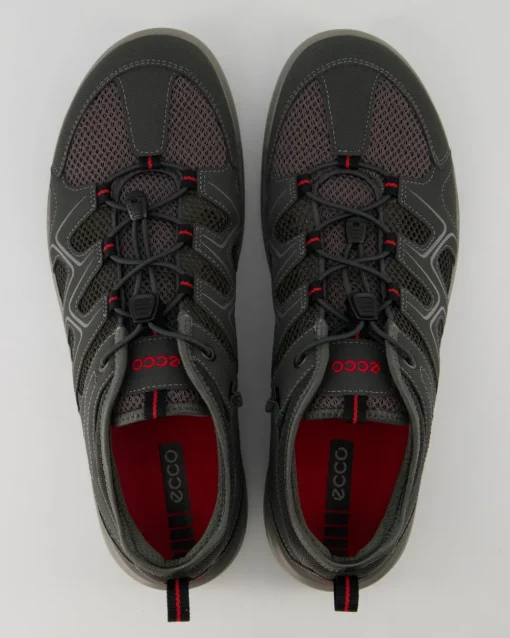 Terracruise LT M Wanderschuhe in Grau