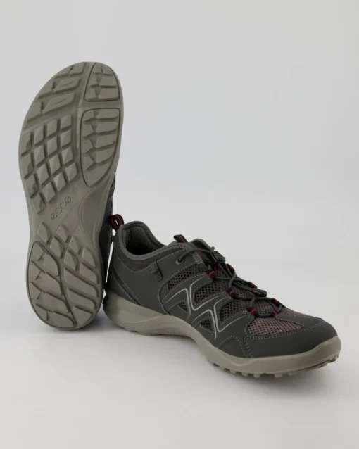 Terracruise LT M Wanderschuhe in Grau