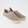Tulip3275 Slipper in Grau