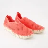 TULIP3275 Slipper in Rosa