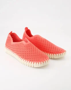 TULIP3275 Slipper in Rosa