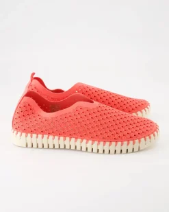 TULIP3275 Slipper in Rosa
