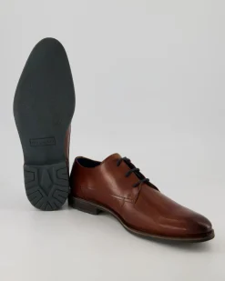 Zanerio Business Schuhe in Braun