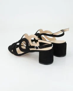 2900-103 Sandalen in Schwarz