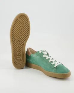 5464 Schnürschuhe in Grün