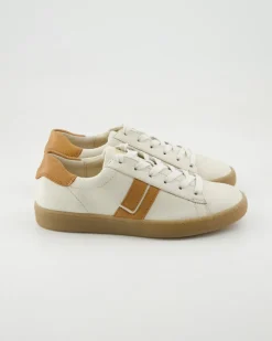 5464 Sneaker in Beige