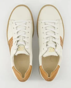5464 Sneaker in Beige