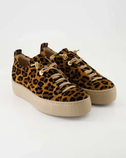 5317-026 Sneaker in Braun