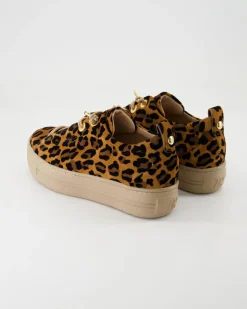 5317-026 Sneaker in Braun