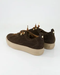 5017 Sneaker in Braun