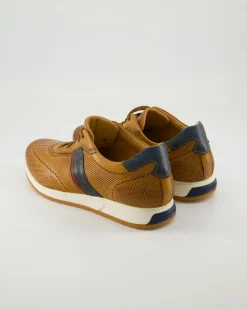 70404 Sneaker in Braun