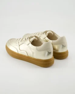 5428 Sneaker in Gold