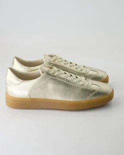 6616 Sneaker in Gold