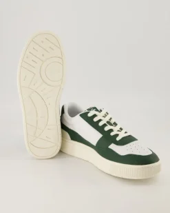 Aceclip PRM Sneaker in Grün