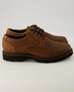 Adalrik-703-Tex-H Business Schuhe in Braun