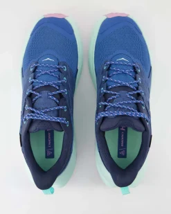 Anacapa 2 Low GTX Wanderschuhe in Blau