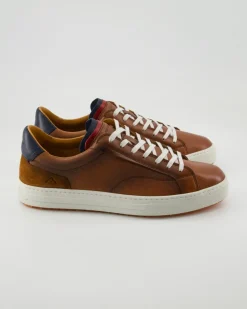 Anopolis Sneaker in Braun