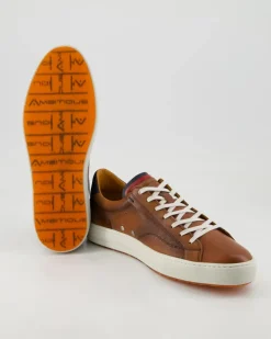 Anopolis Sneaker in Braun