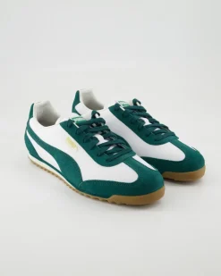 Arizona Retro Sneaker in Grün