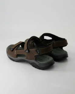 ARLO 02 Sandalen in Braun