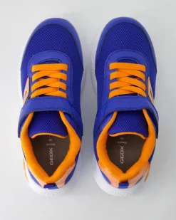 Assister Boy Sneaker in Blau