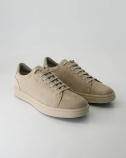 Baltmoore Sneaker in Beige