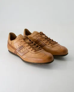 BARRY Sneaker in Braun