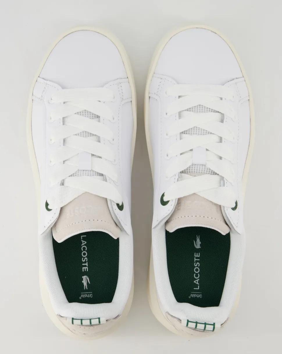 Carnaby Sneaker in Weiß