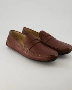Carulio-708 Mokassins in Braun