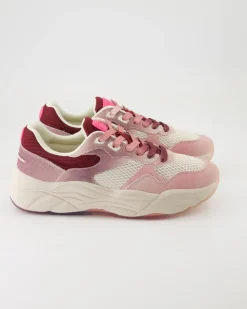 Celest Sneaker in Pink