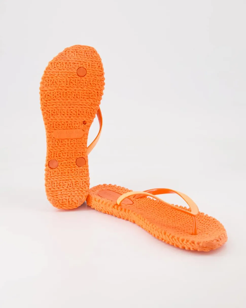 Cheerfull 01 Zehentrenner in Orange