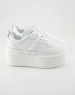 Colette Low Sneaker in Weiß