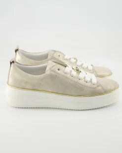 D1C03-60 Sneaker in Gold