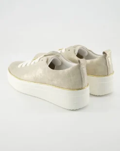 D1C03-60 Sneaker in Gold