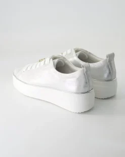 D1C03-81 Sneaker in Silber