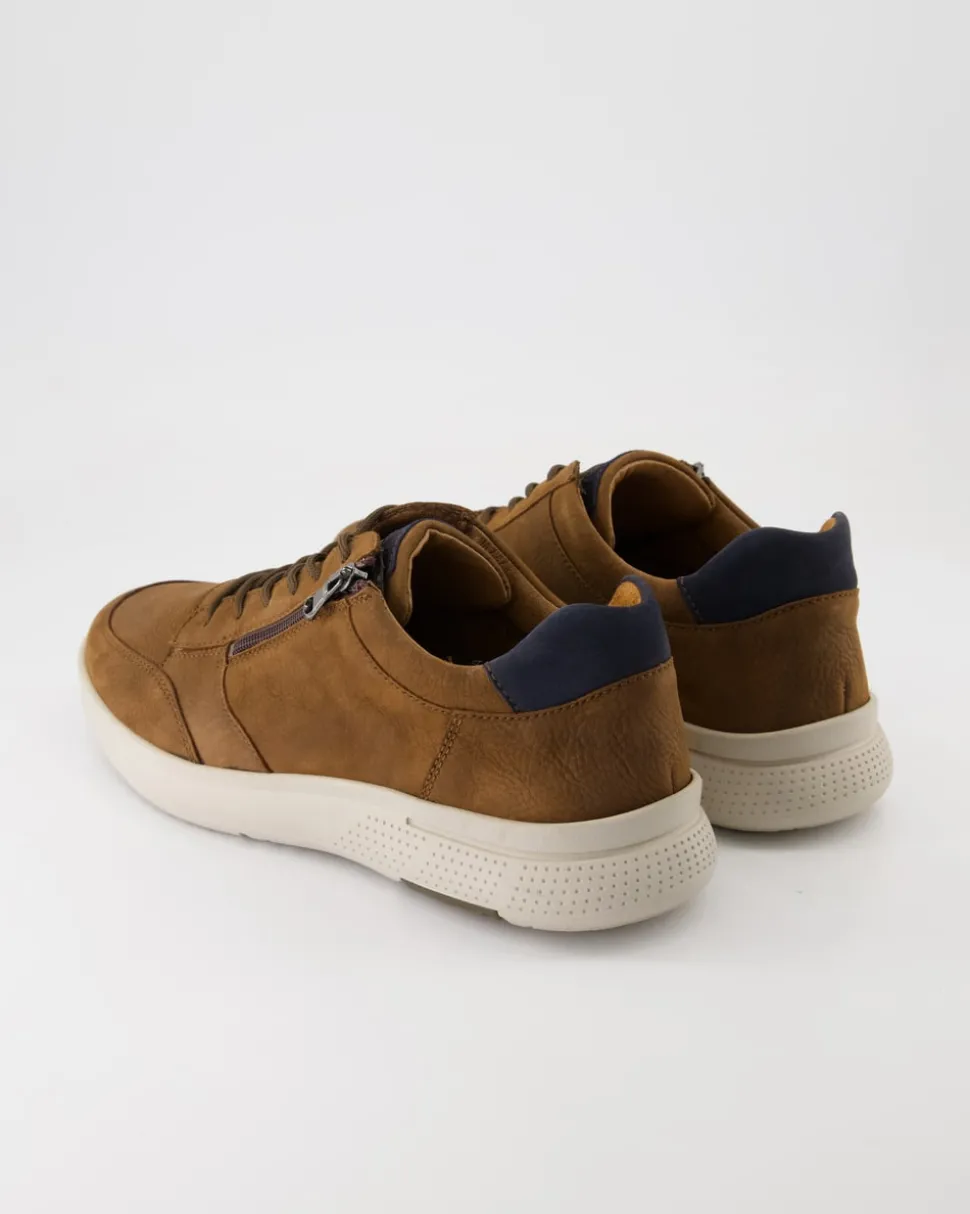 Denver Sneaker in Braun