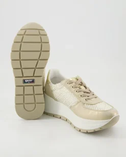 DKO 76613 Sneaker in Gold