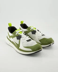 ECCO BIOM 2.2 M Sneaker in Grün