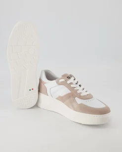E306564D Sneaker in Rosa