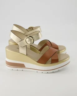 E218737D-329 Wedges in Gold
