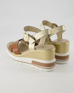 E218737D-329 Wedges in Gold