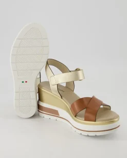 E218737D-329 Wedges in Gold