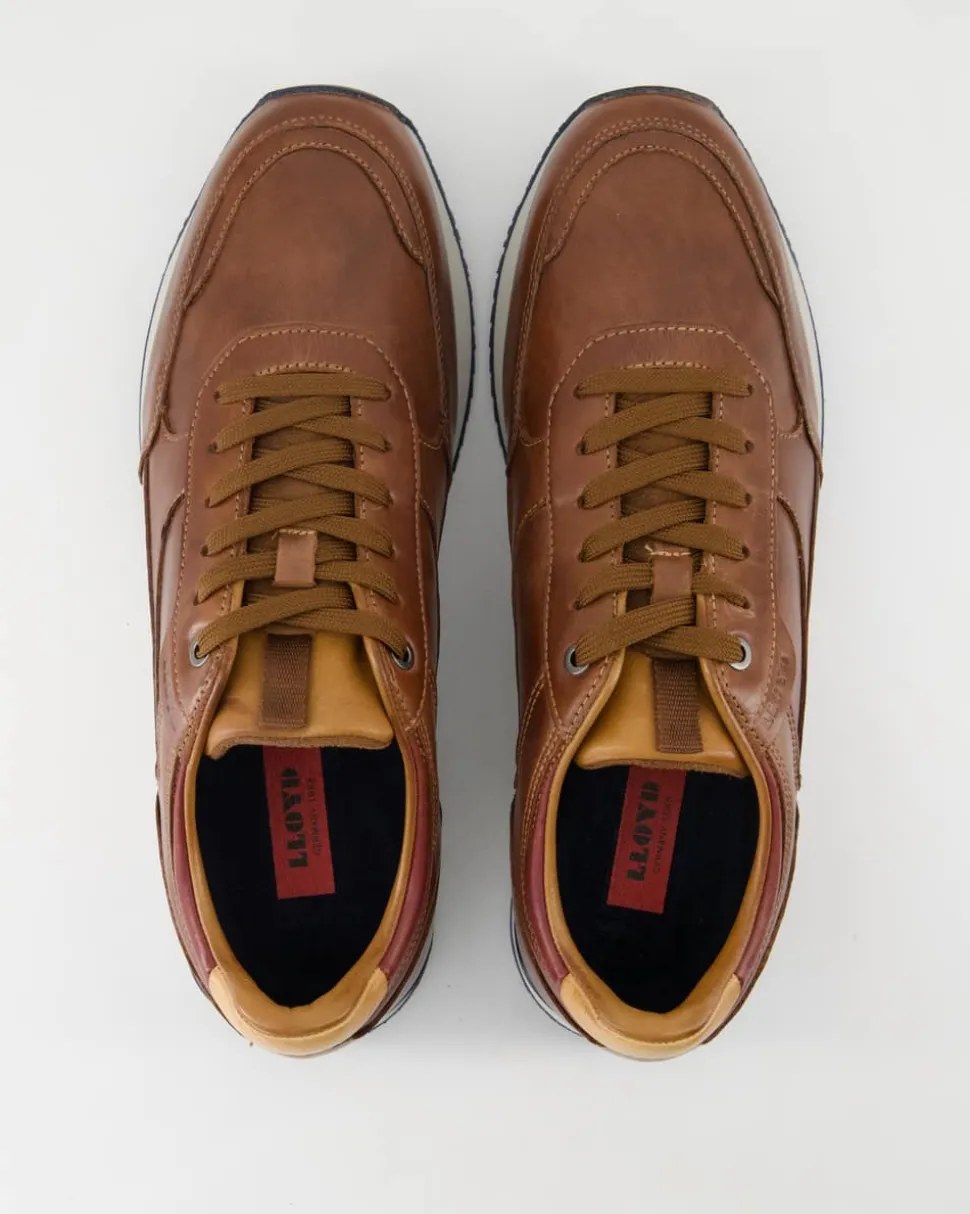 EDITTA Schnürschuhe in Braun